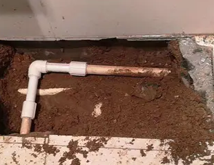 天峻测漏水哪家好