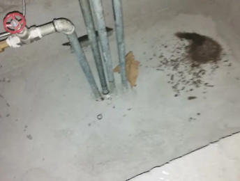 天峻卫生间测漏水价格明细